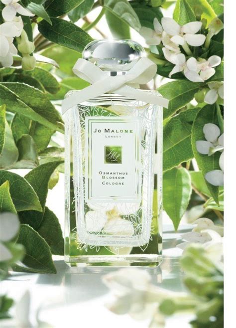 jo malone osmanthus blossom review.